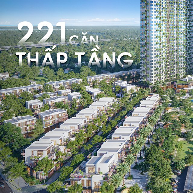 221-thap-tang-20250603083721-5zdx2